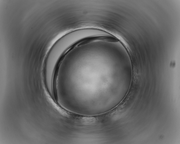 X0000090891142200707271327