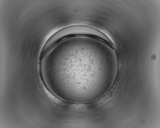 X0000090891143200707271327