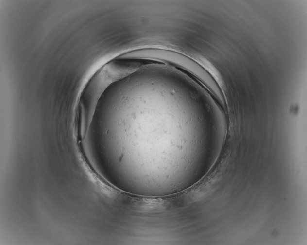 X0000090891144200707271327