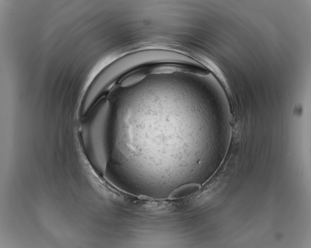 X0000090891146200707271327