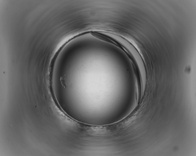 X0000090891147200707271327