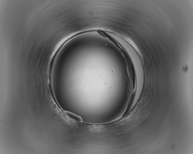 X0000090891148200707271327