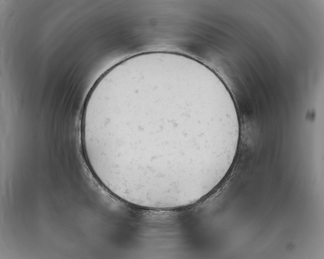 X0000090891150200707271327