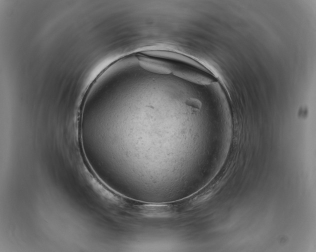 X0000090891151200707271327