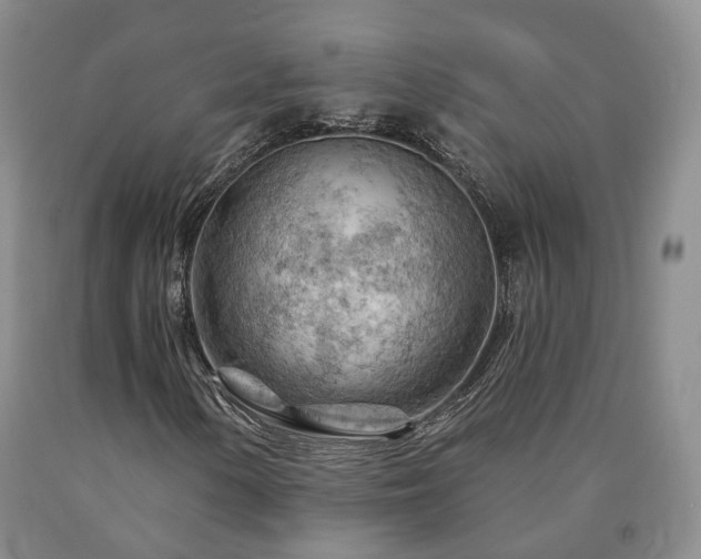 X0000090891154200707271326