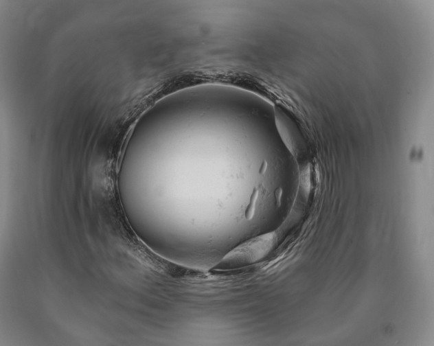 X0000090891156200707271326