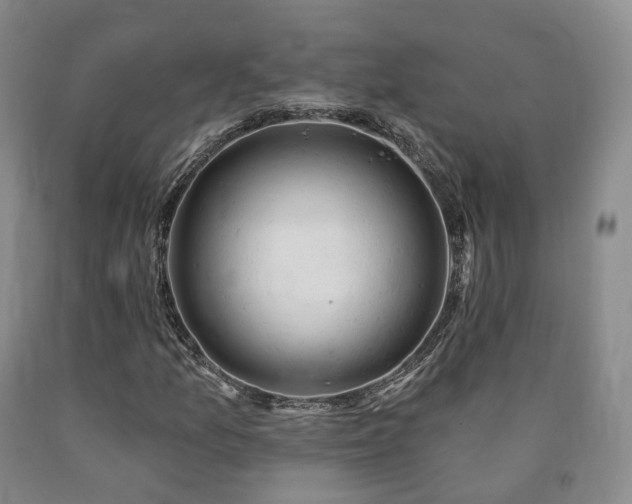 X0000090891157200707271326