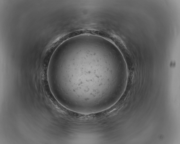 X0000090891159200707271326