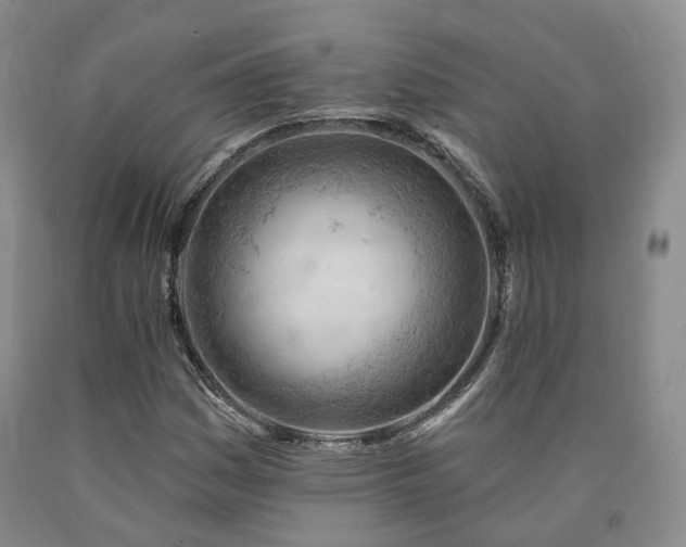 X0000090891161200707271326