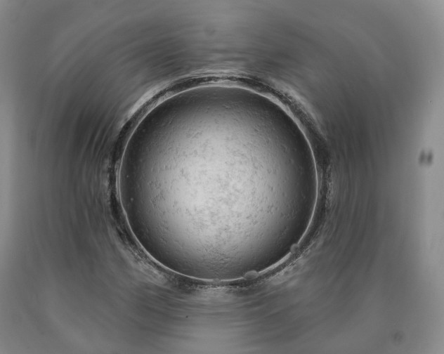 X0000090891162200707271326