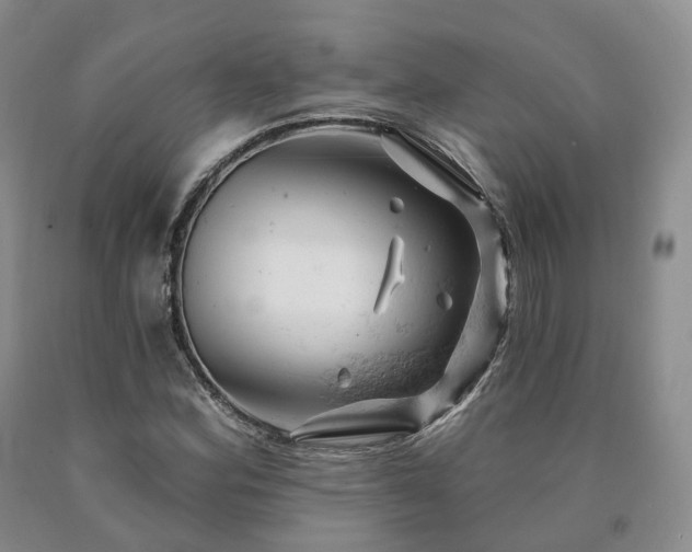 X0000090891164200707271326