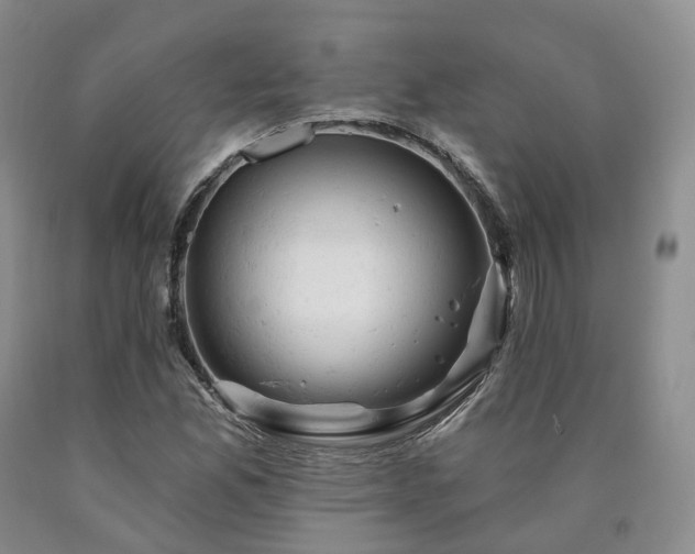 X0000090891165200707271326