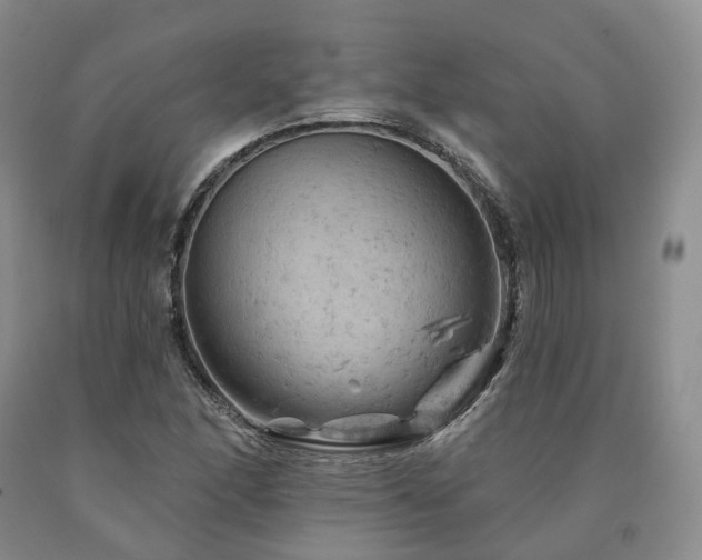 X0000090891166200707271326