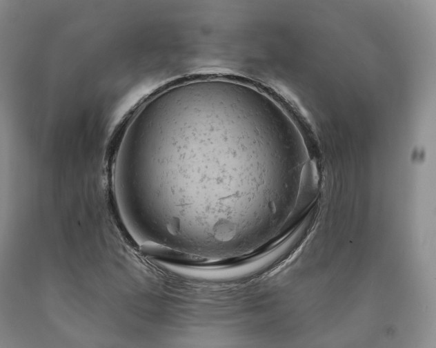 X0000090891167200707271326