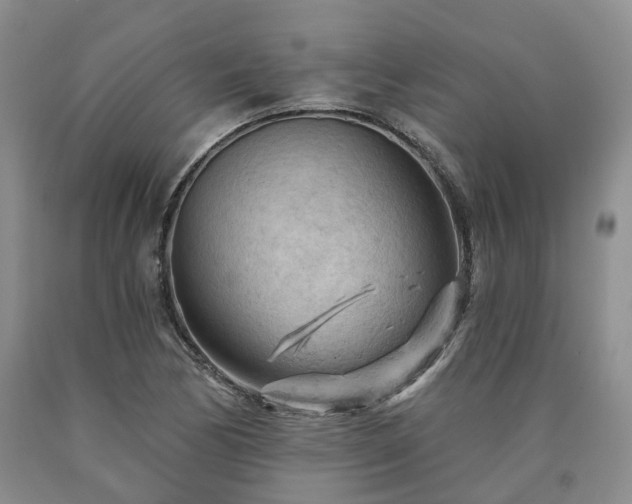 X0000090891170200707271326