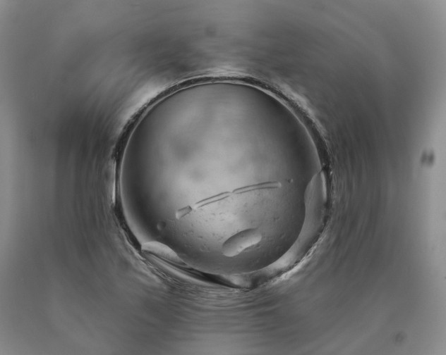 X0000090891171200707271326