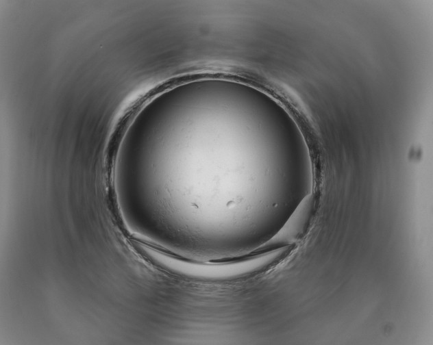 X0000090891172200707271326