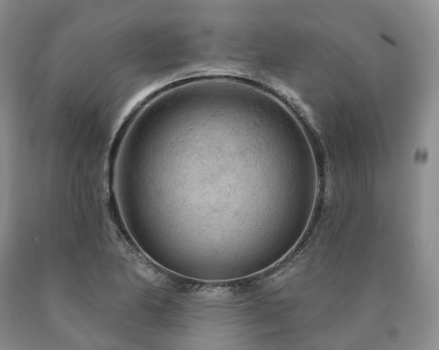 X0000090891174200707271326