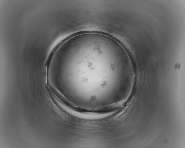 X0000090891175200707271326