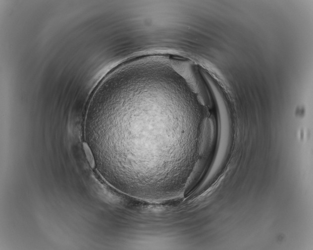 X0000090891177200707271326