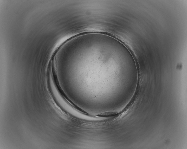 X0000090891179200707271326