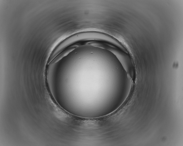 X0000090891181200707271326