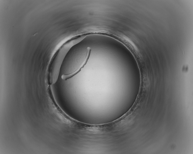 X0000090891182200707271326