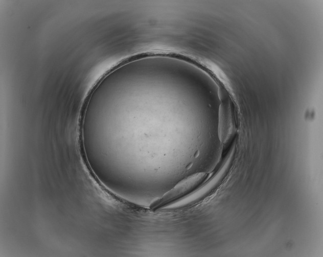 X0000090891183200707271326