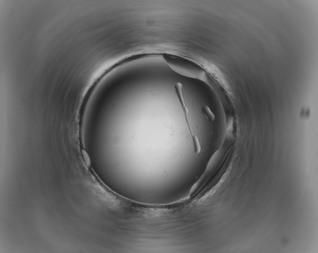 X0000090891184200707271326