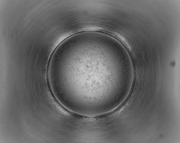 X0000090891186200707271326