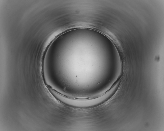 X0000090891188200707271326