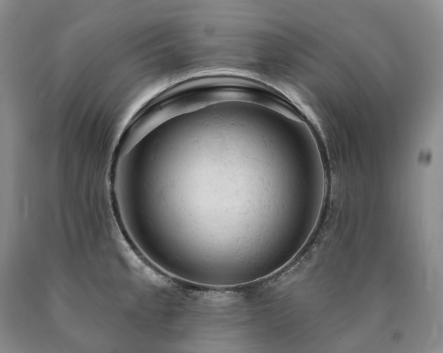 X0000090891189200707271326