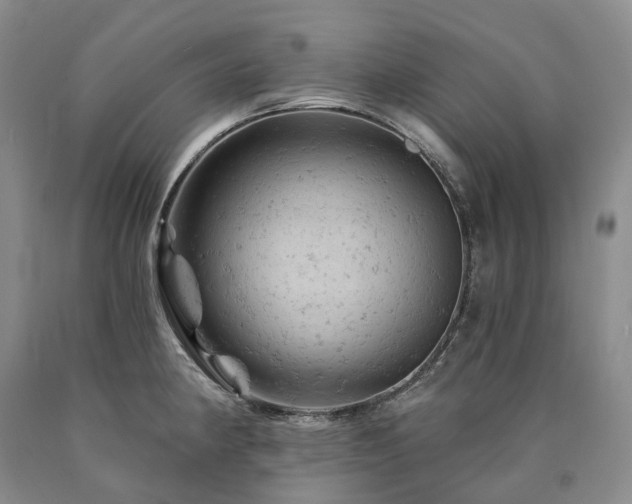 X0000090891190200707271326