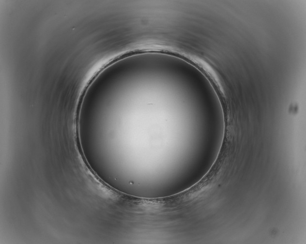 X0000090891191200707271326