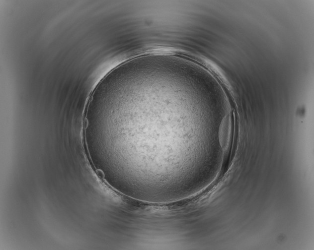 X0000090891194200707271326