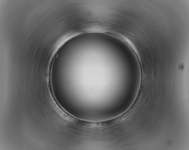 X0000090891195200707271326