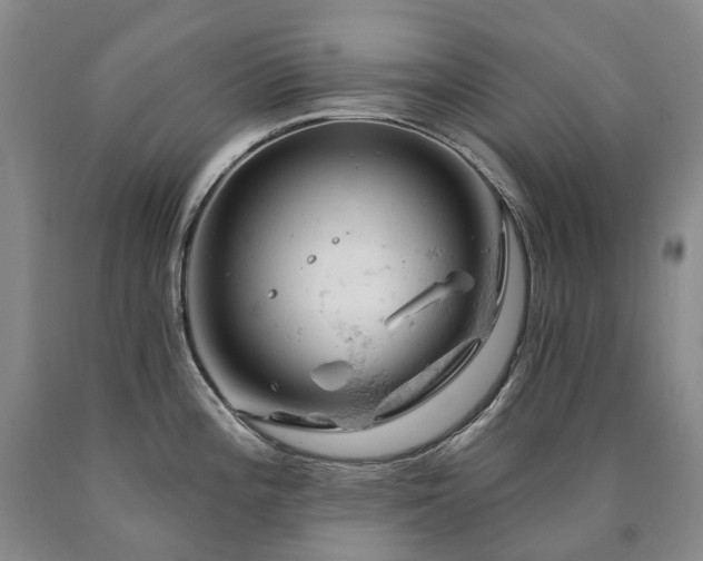 X0000090891196200707271326