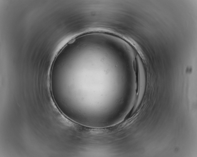 X0000090891199200707271326