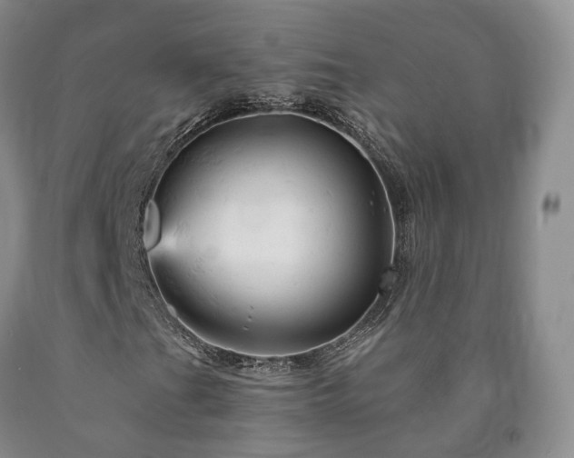 X0000090891201200707271325