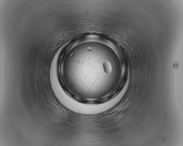 X0000090891202200707271325