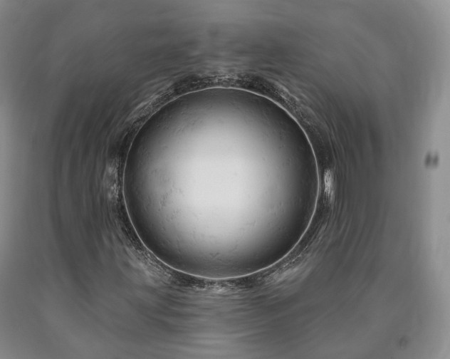 X0000090891203200707271325