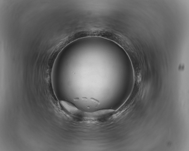 X0000090891204200707271325