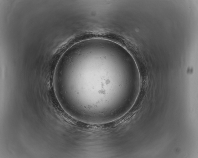 X0000090891205200707271325