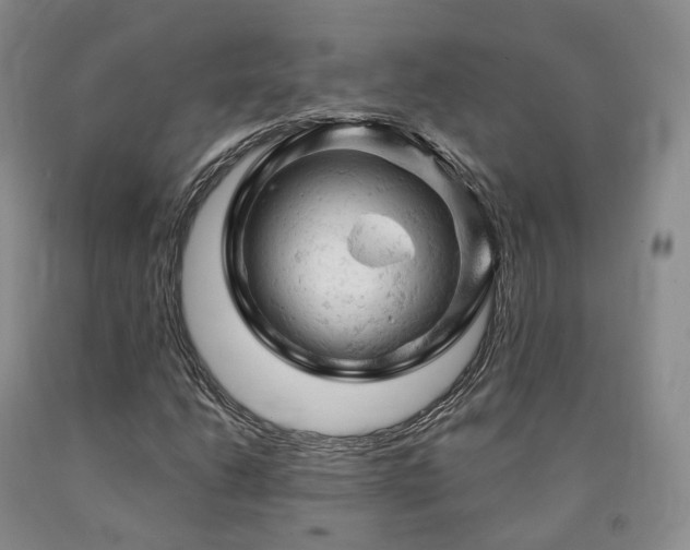 X0000090891206200707271325