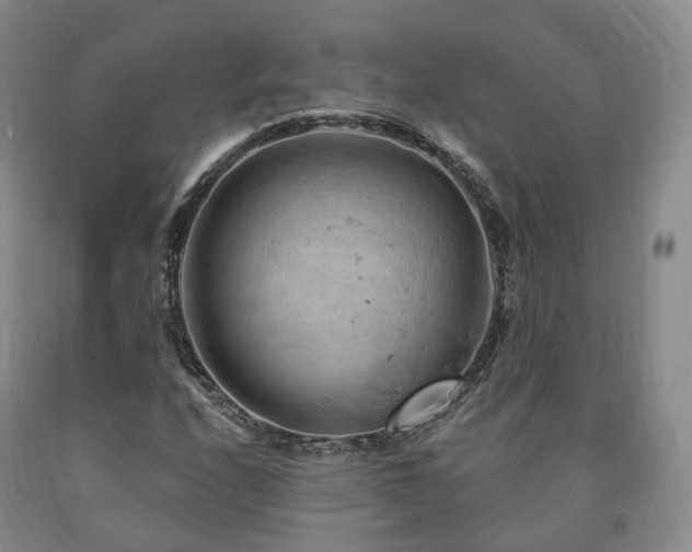 X0000090891208200707271325