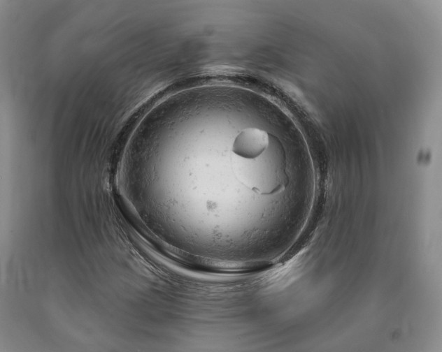 X0000090891209200707271325