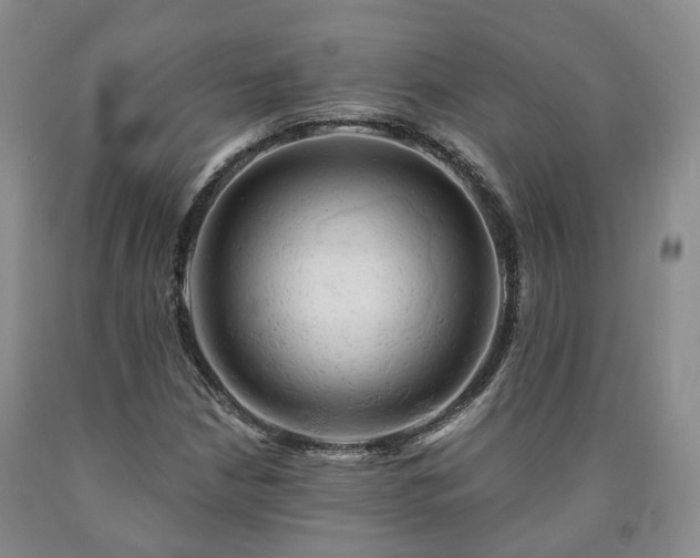 X0000090891210200707271325