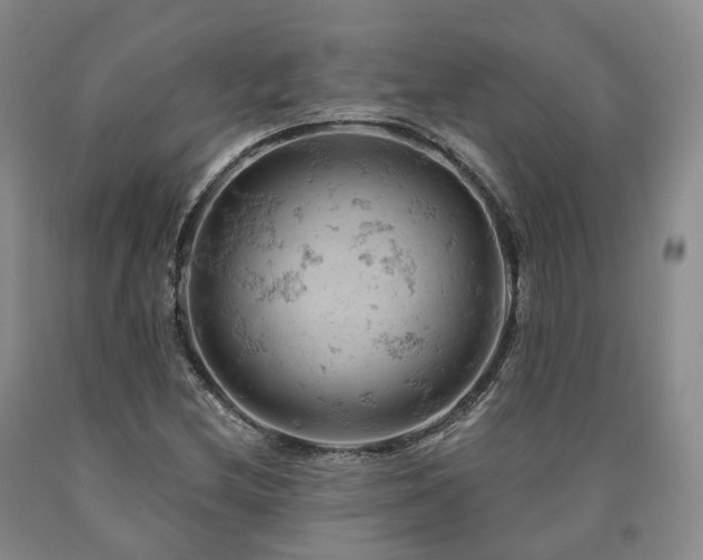 X0000090891212200707271325