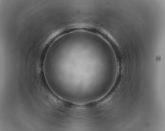 X0000090891213200707271325