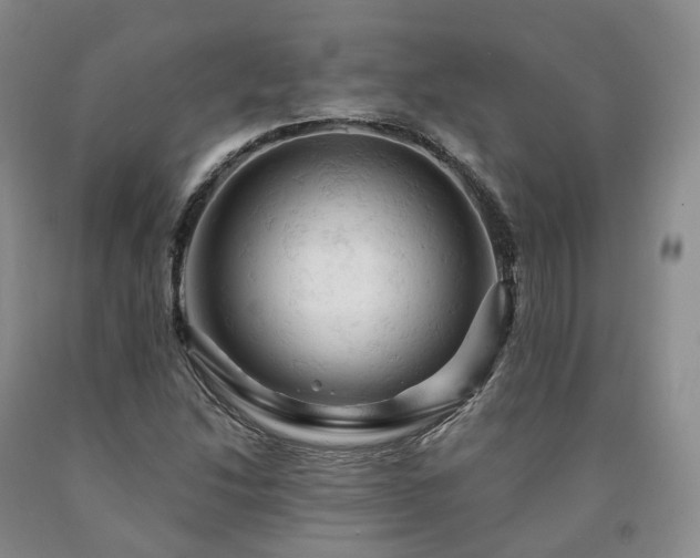 X0000090891214200707271325